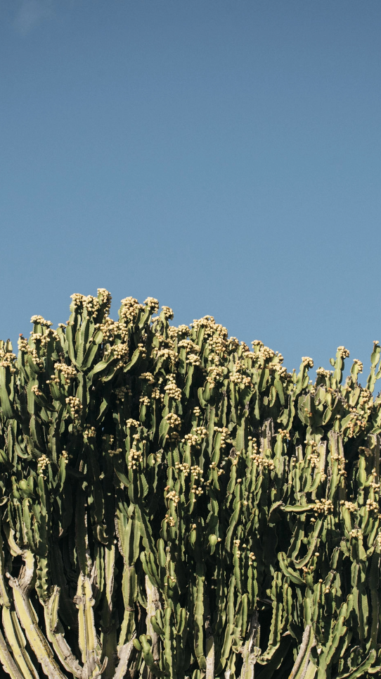 MLF24_PacoPoyato_Espacios_010